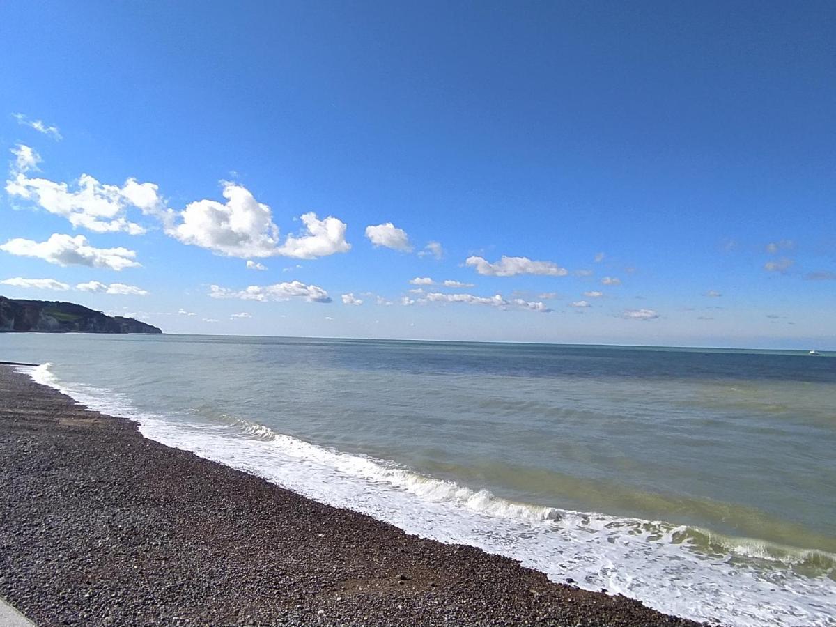 Jolie Maison En Bord De Mer A Pourville Hautot-sur-Mer Экстерьер фото